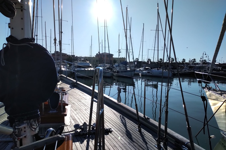 Sonne und Palmen im Februar, was braucht man mehr