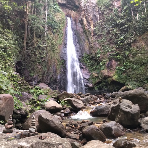 Nachmittags Ausflug in den Regenwald und zu den Wasserfällen