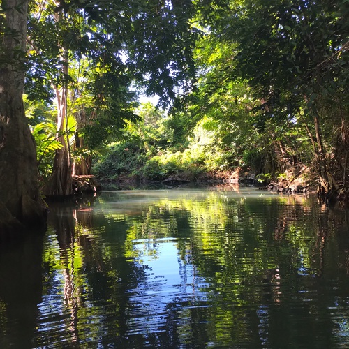 Morgen früh Ausflug mit Edisson auf dem Indian River, am Drehort von Pirates of the Caribbean